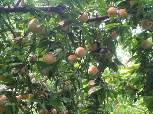 101215ҘռҘDƬ