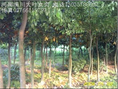 mr,r,צr,Dr,ˮɼrDƬ