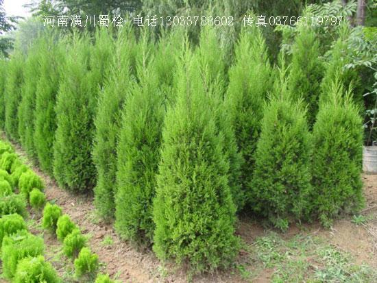 ؈ru؈rɳذ؈r䁵ذ؈rDƬ