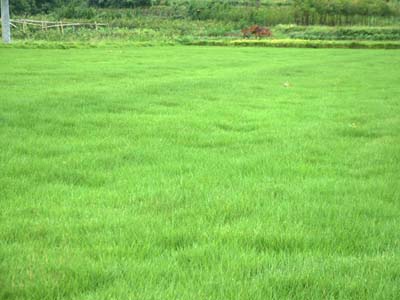 ~üݡRձY|ݡ[mݵȲƺݷNDƬ